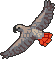 Giant grey parrot sprite.png