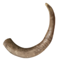 Animal horn.png