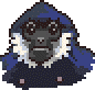 Black crested gibbon portrait anim.gif