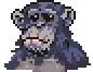 Bonobo portrait anim.gif